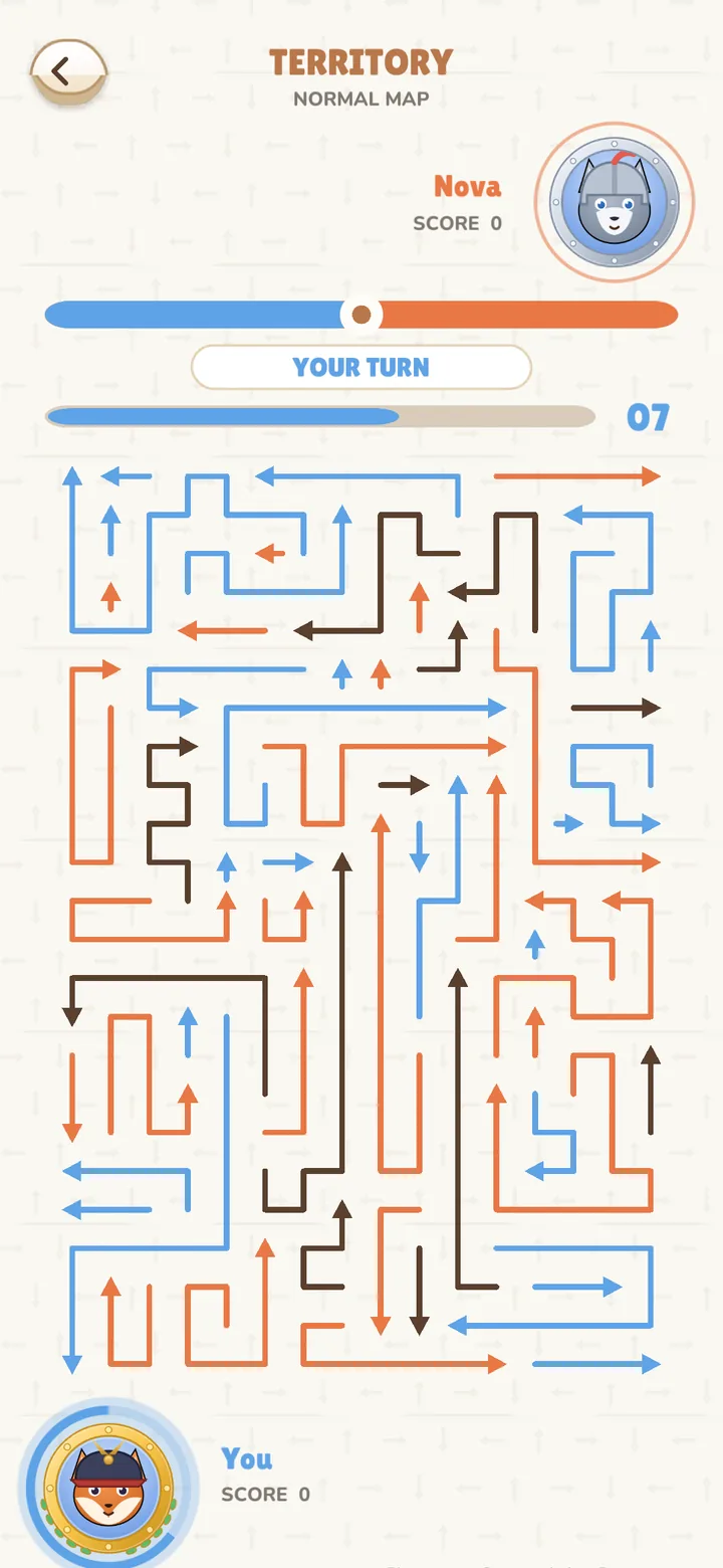 A Territory duel: blue arrows belong to you, orange to your rival, brown to anyone